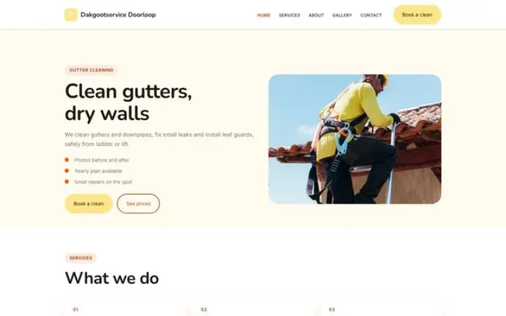 Website for gutter cleaning