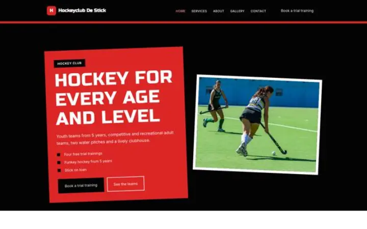 Website for hockey club