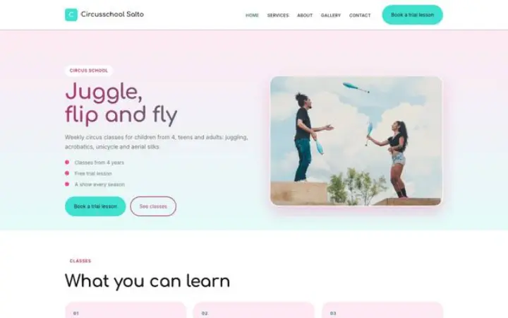 Website for circus school