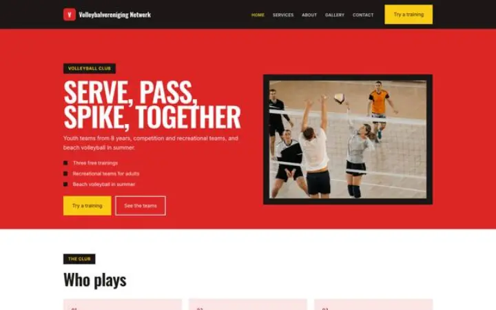 Website for volleyball club