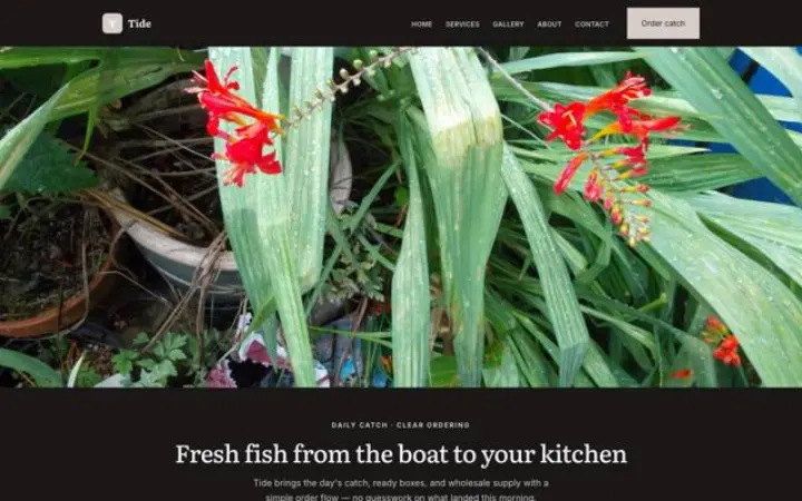Website for fishing