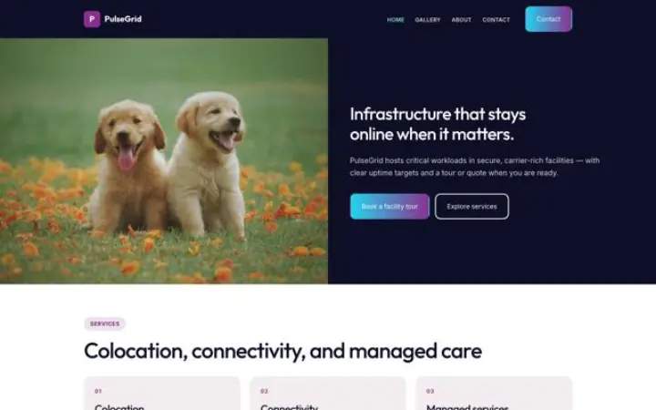 Theme PulseGrid