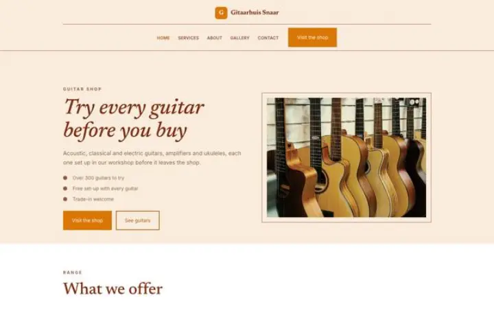 Website for guitar shop